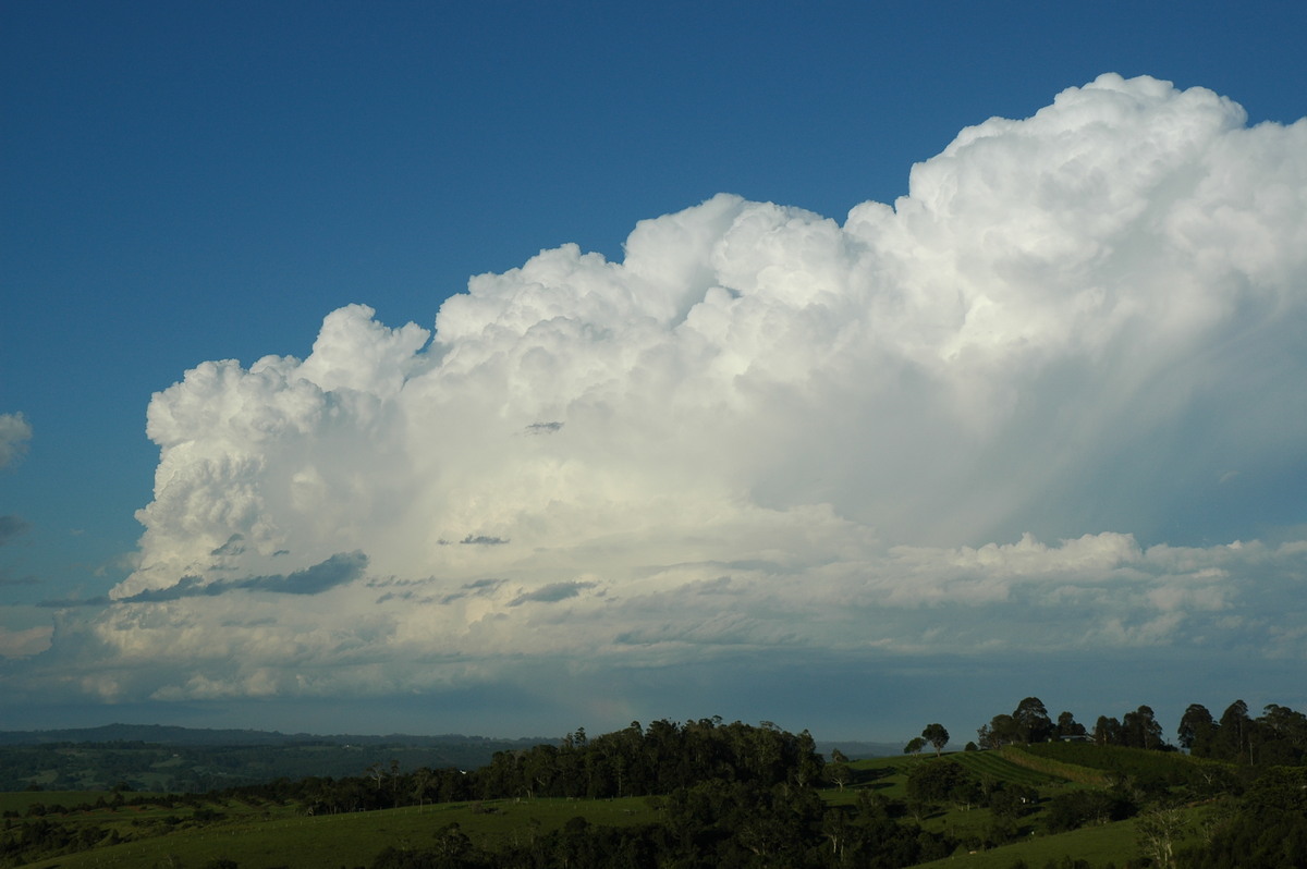 thunderstorm cumulonimbus_incus : McLeans Ridges, NSW   17 December 2005