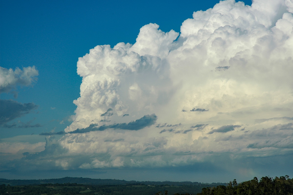 updraft thunderstorm_updrafts : McLeans Ridges, NSW   17 December 2005