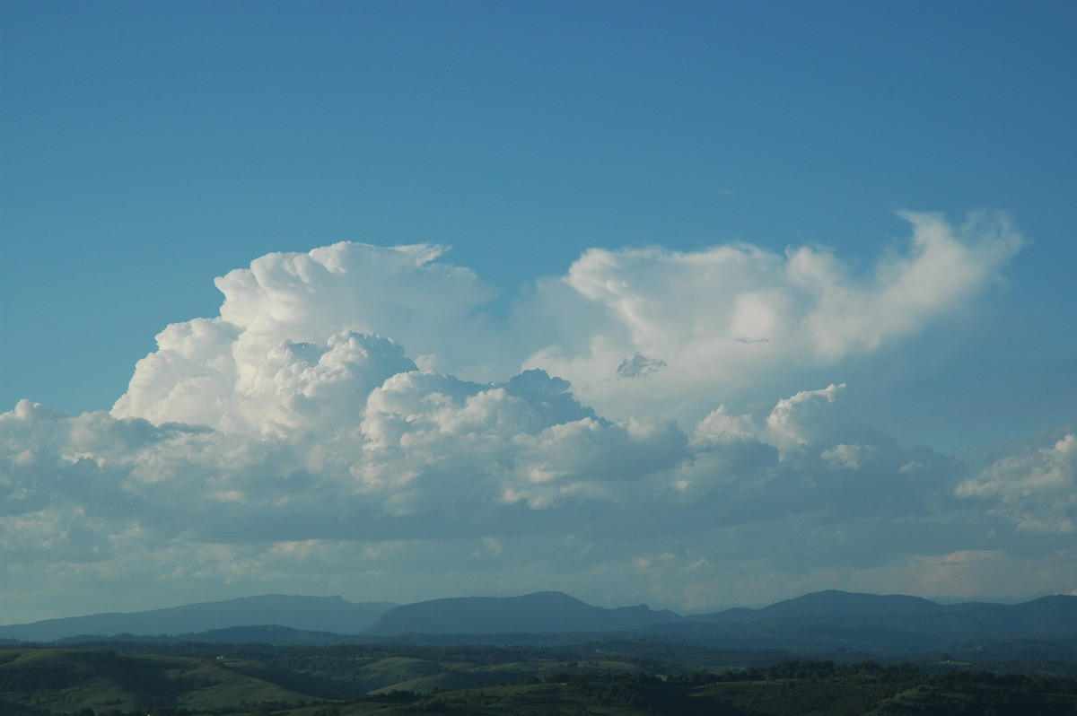 thunderstorm cumulonimbus_incus : McLeans Ridges, NSW   17 December 2005