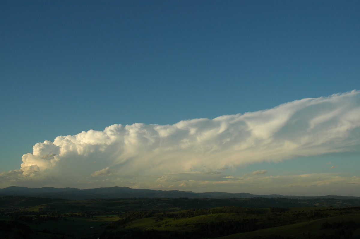 thunderstorm cumulonimbus_incus : McLeans Ridges, NSW   17 December 2005