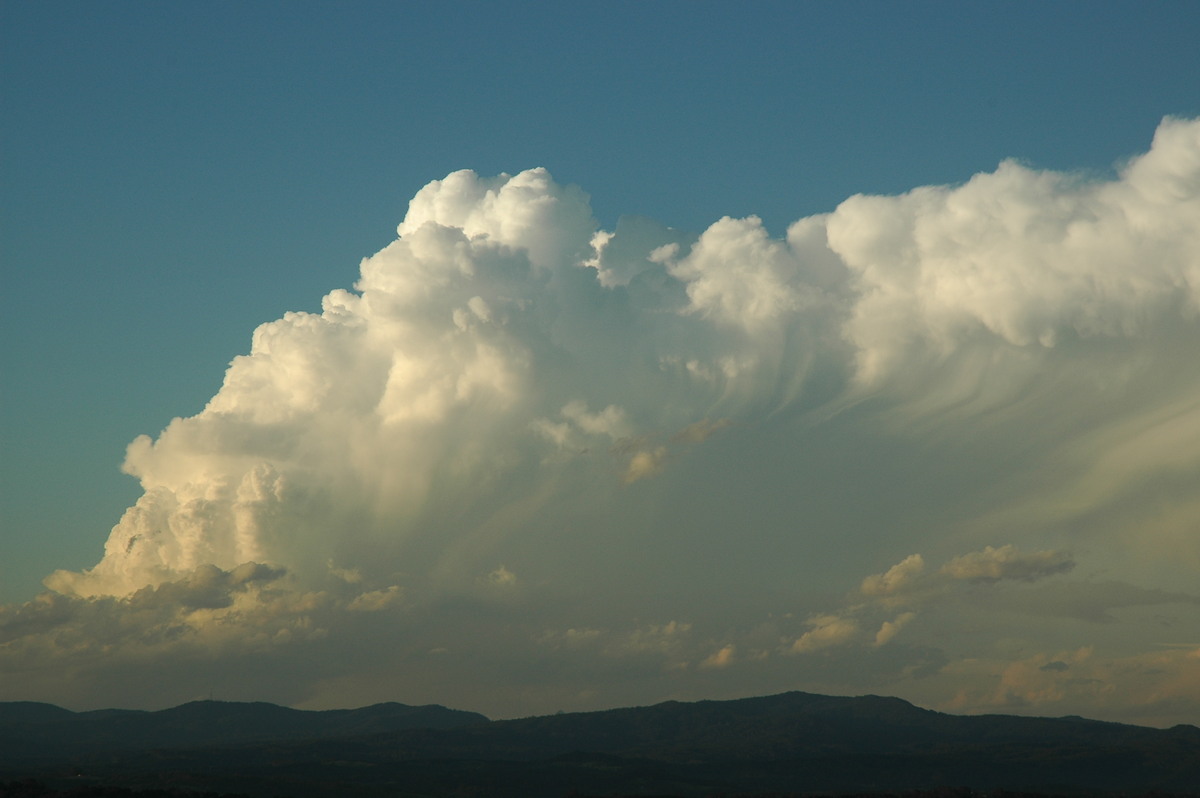 thunderstorm cumulonimbus_incus : McLeans Ridges, NSW   17 December 2005