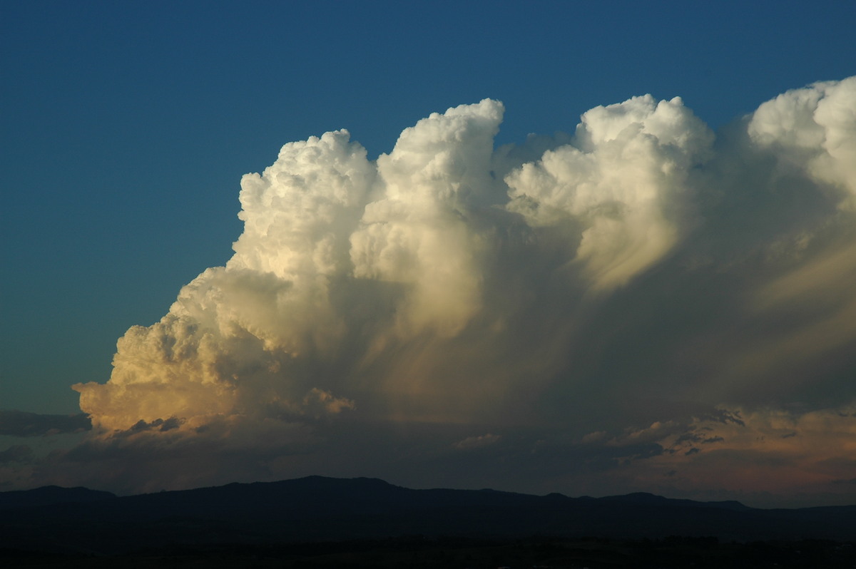 updraft thunderstorm_updrafts : McLeans Ridges, NSW   17 December 2005