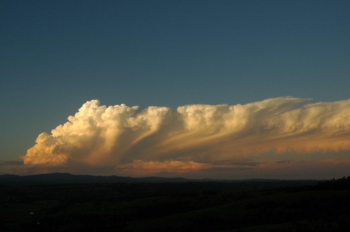 anvil thunderstorm_anvils : McLeans Ridges, NSW   17 December 2005