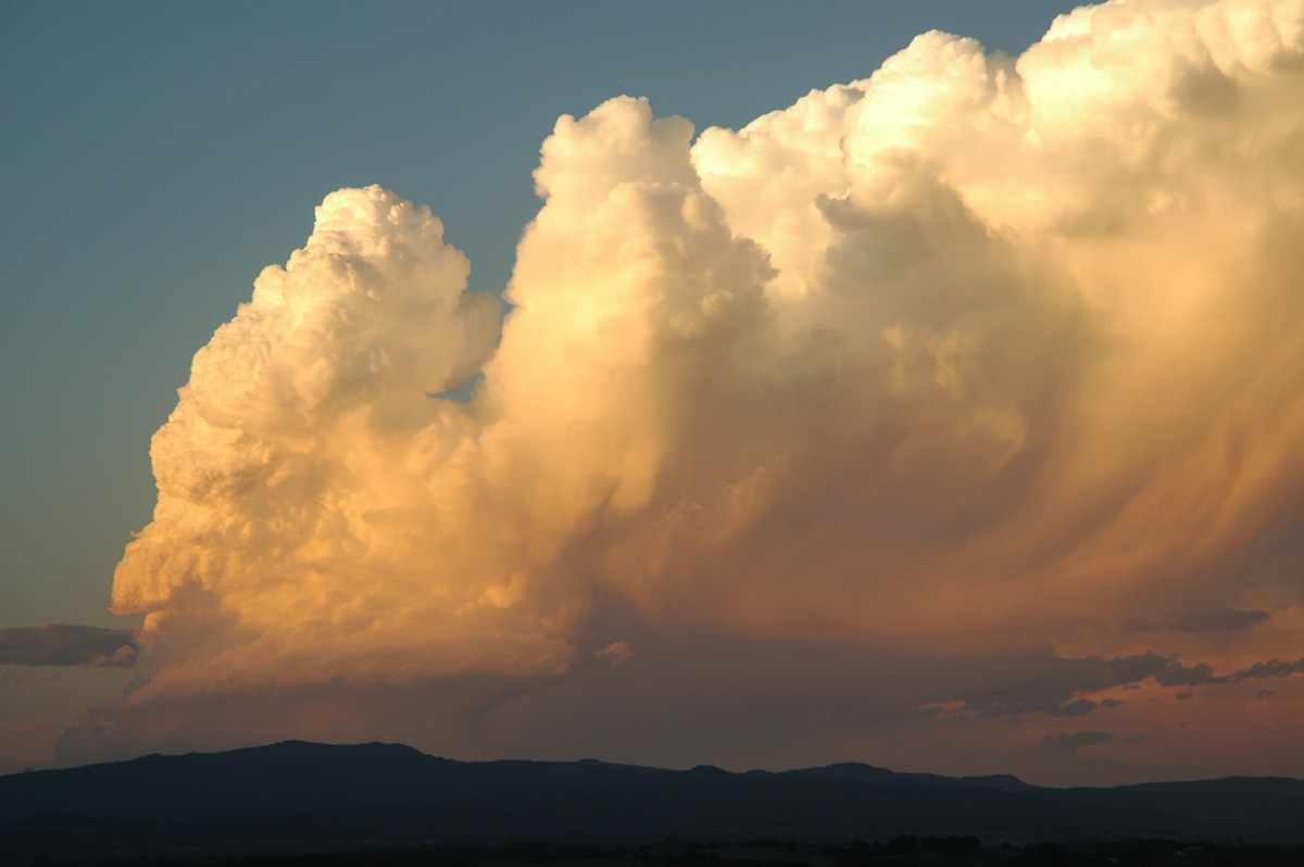 updraft thunderstorm_updrafts : McLeans Ridges, NSW   17 December 2005