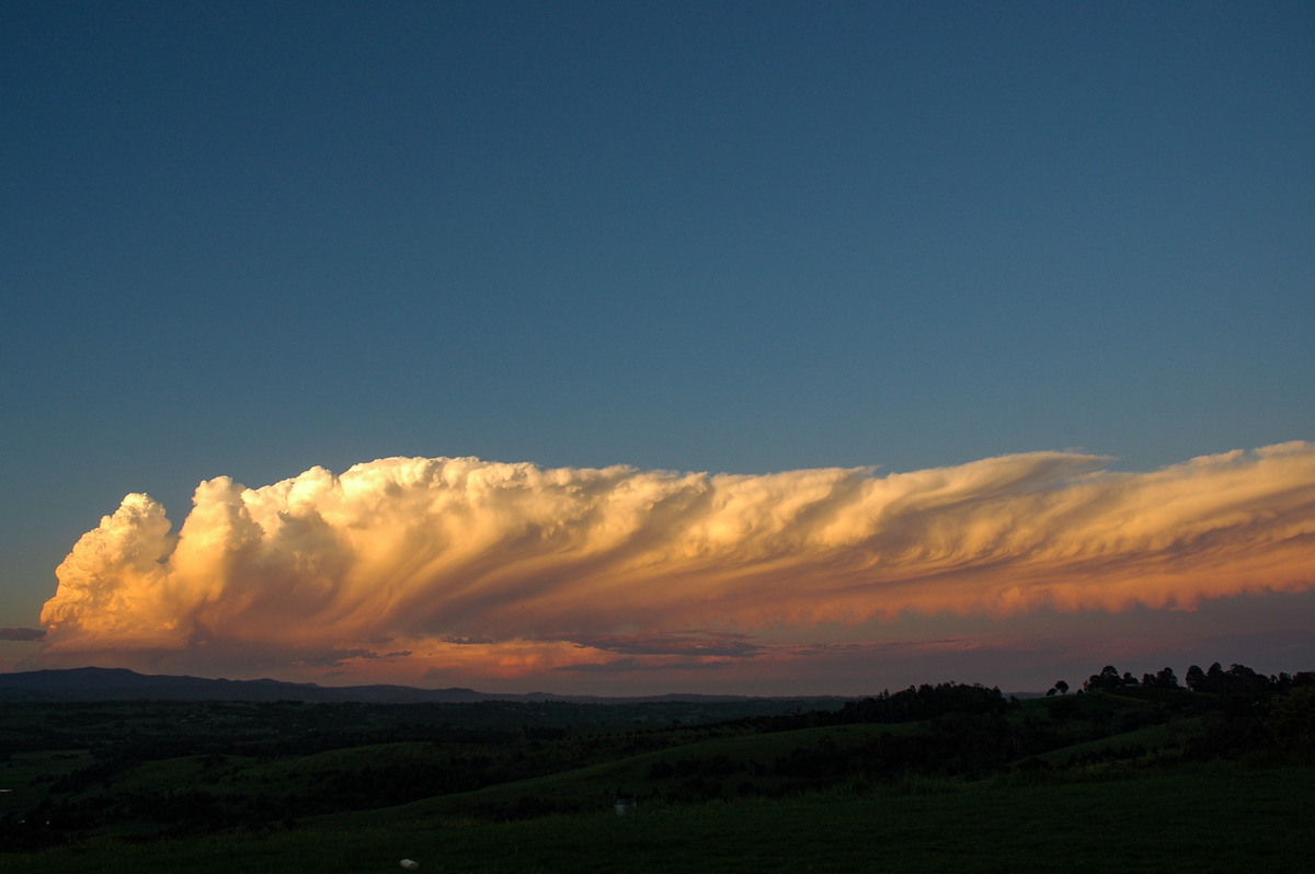 anvil thunderstorm_anvils : McLeans Ridges, NSW   17 December 2005