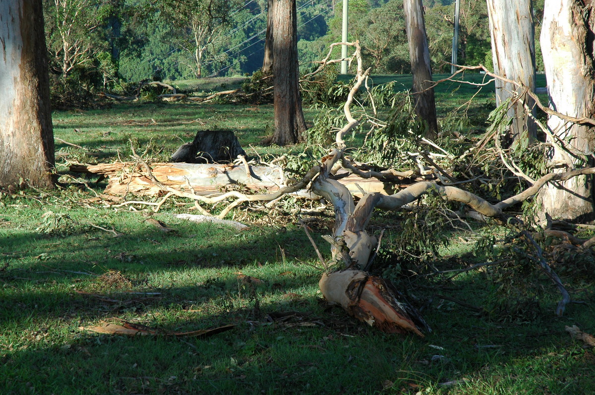 disasters storm_damage : Modanville, NSW   18 December 2005