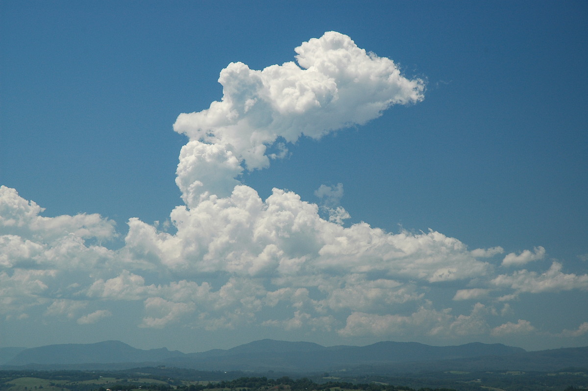 cumulus mediocris : McLeans Ridges, NSW   23 December 2005