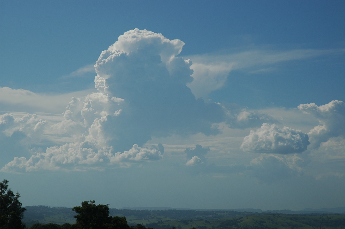 cumulus congestus : McLeans Ridges, NSW   23 December 2005