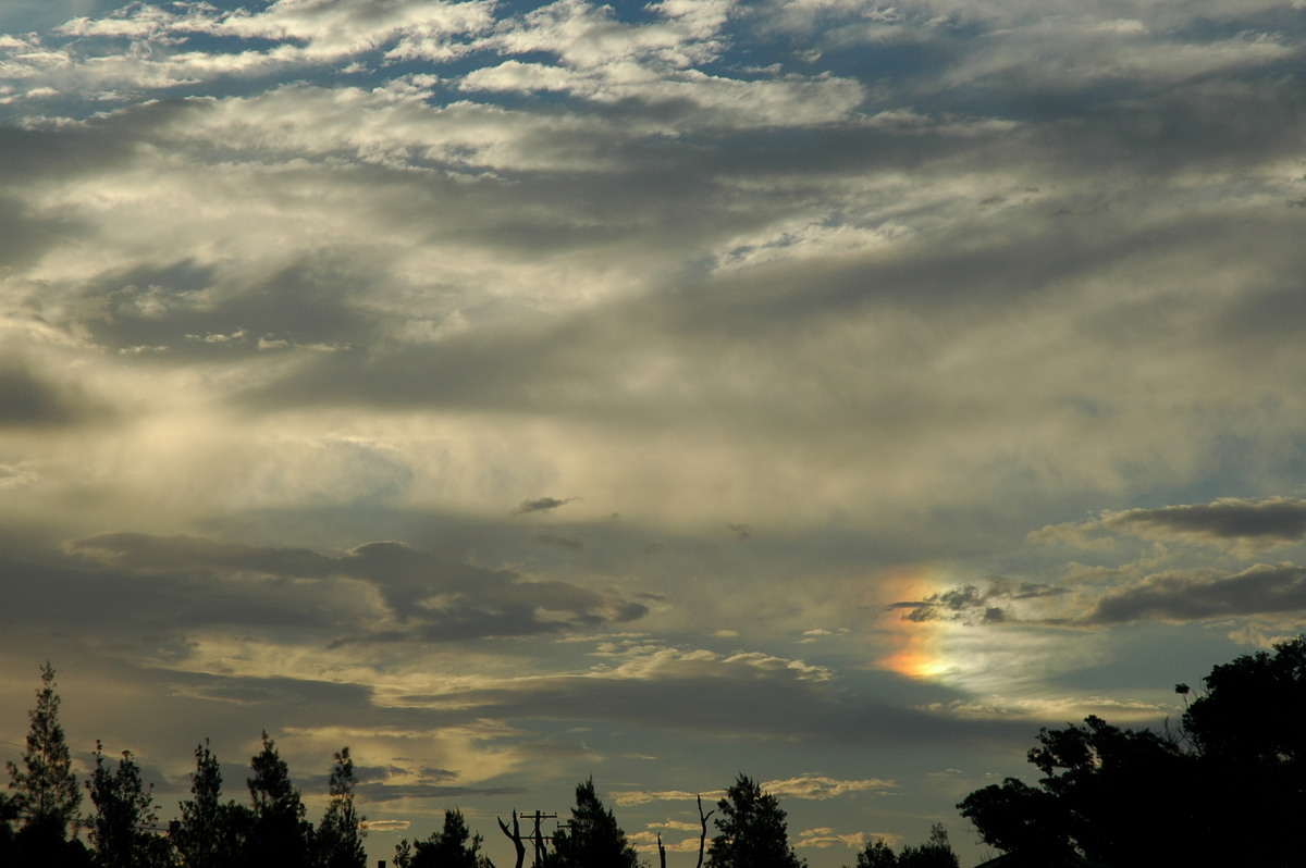 altostratus altostratus_cloud : McLeans Ridges, NSW   23 December 2005