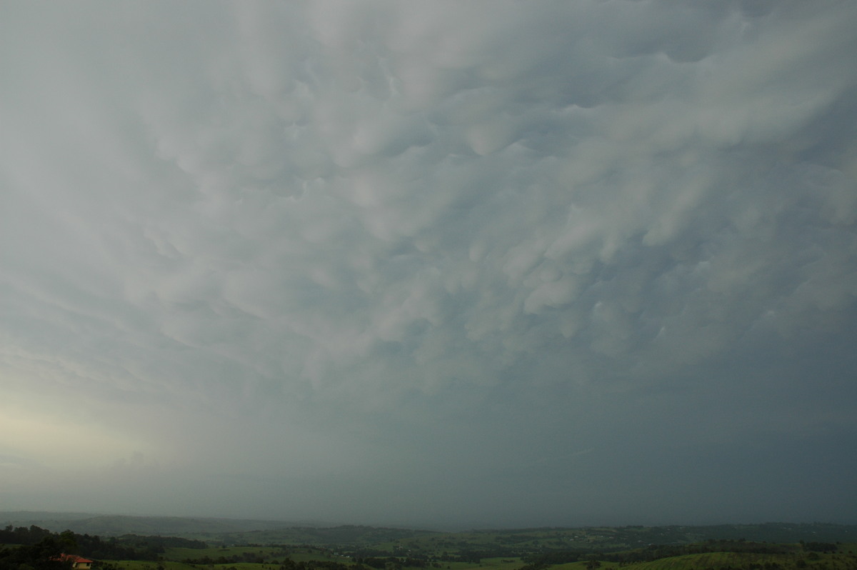 mammatus mammatus_cloud : McLeans Ridges, NSW   25 December 2005