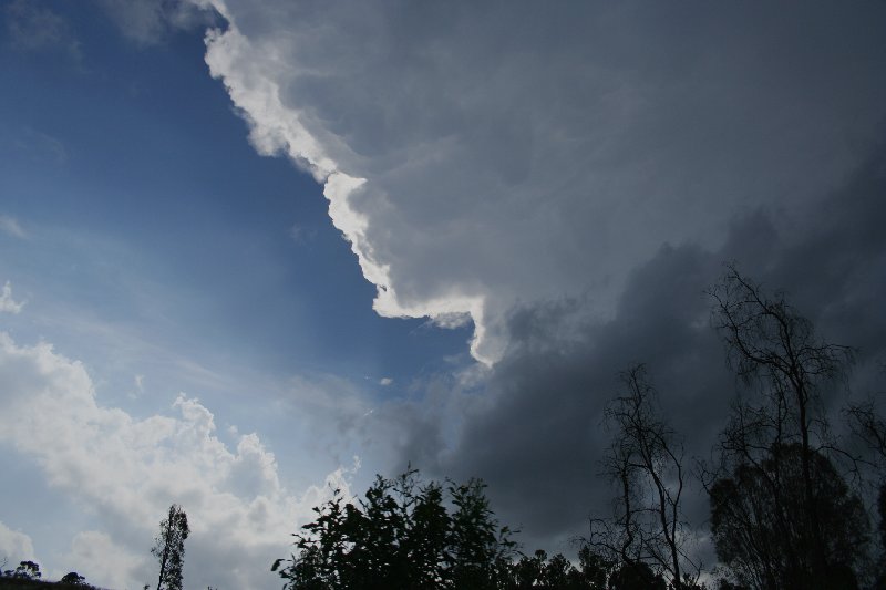 updraft thunderstorm_updrafts : near Yarraman, Qld   26 December 2005