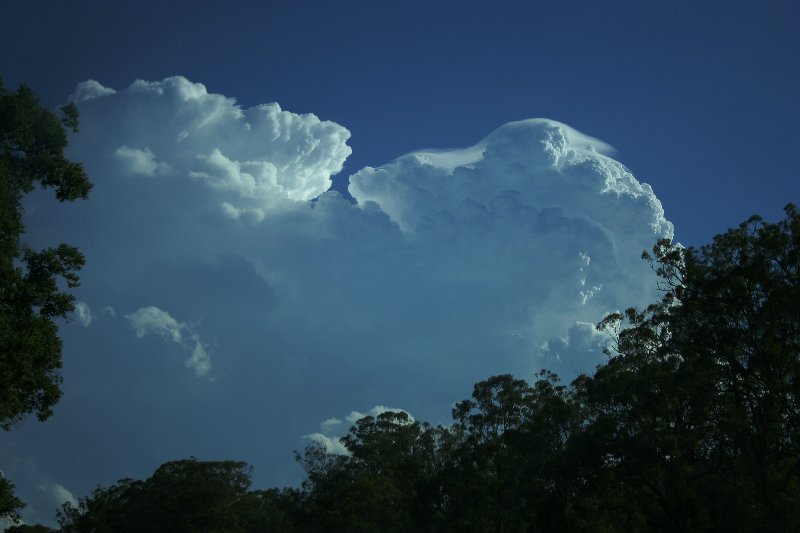 updraft thunderstorm_updrafts : near Yarraman, Qld   26 December 2005