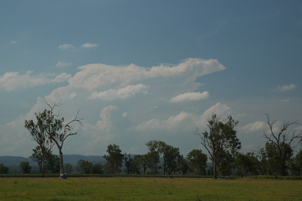 pileus pileus_cap_cloud : W of Brisbane, QLD   26 December 2005