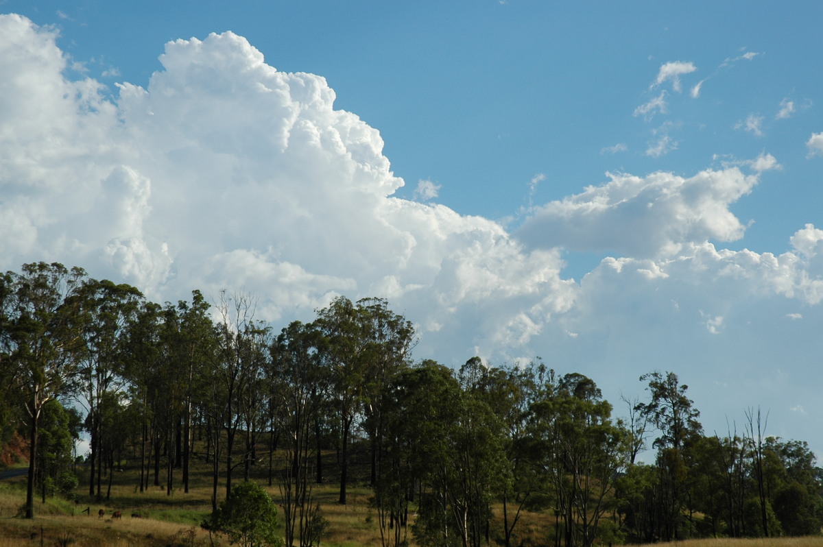 cumulus congestus : NW of Brisbane, NSW   26 December 2005