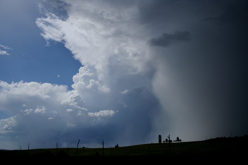 microburst micro_burst : Richmond Range, NSW   27 December 2005