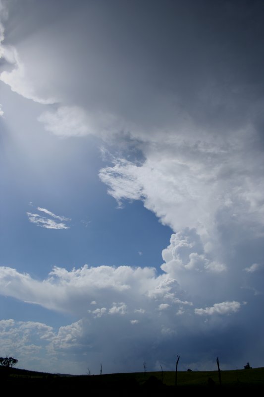 thunderstorm cumulonimbus_incus : Richmond Range, NSW   27 December 2005