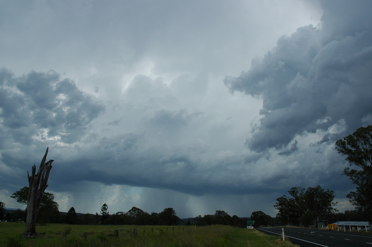 cumulonimbus thunderstorm_base : Mallanganee NSW   27 December 2005