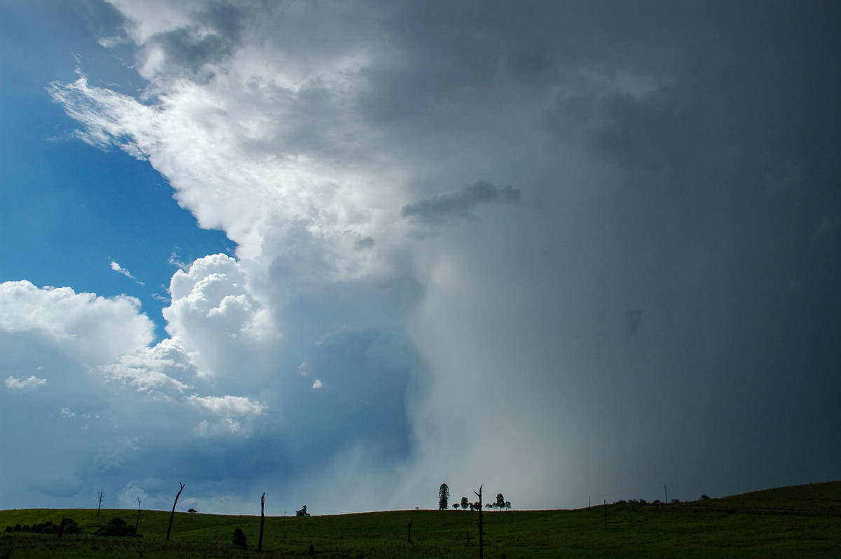 raincascade precipitation_cascade : near Bonalbo, NSW   27 December 2005