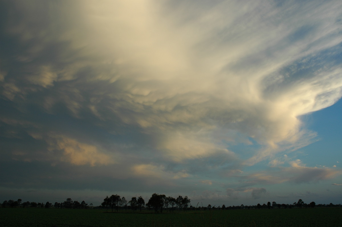 mammatus mammatus_cloud : near Casino, NSW   27 December 2005