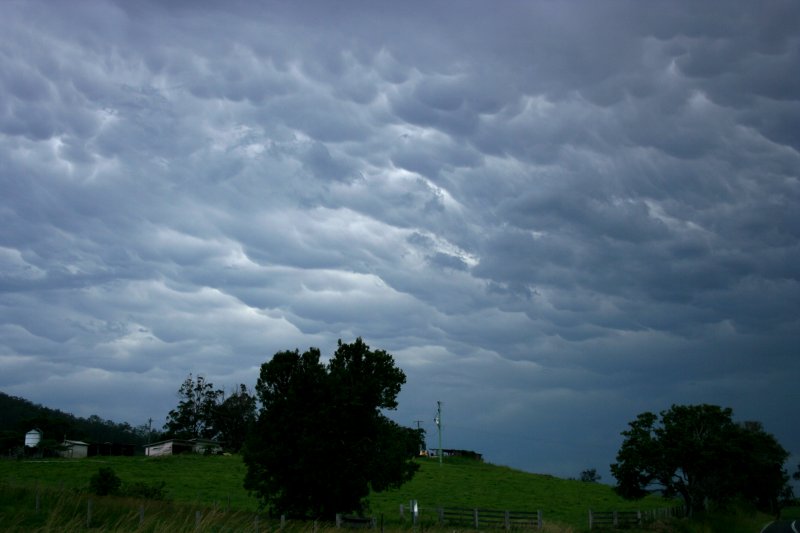 mammatus mammatus_cloud : S of Nambucca Heads, NSW   28 December 2005