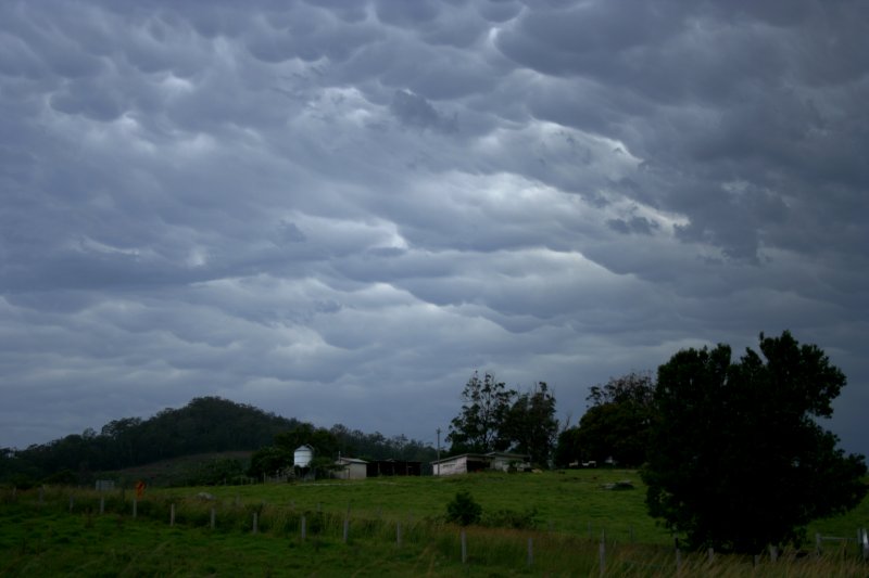 mammatus mammatus_cloud : S of Nambucca Heads, NSW   28 December 2005