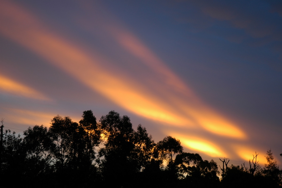 mammatus mammatus_cloud : McLeans Ridges, NSW   29 December 2005