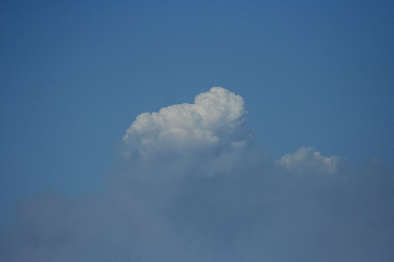 cumulus pyrocumulus : Schofields, NSW   1 January 2006