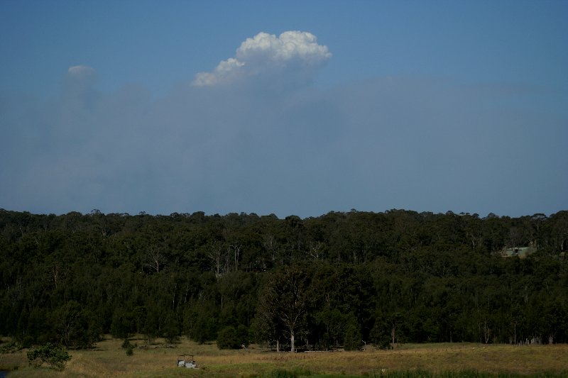 cumulus pyrocumulus : Schofields, NSW   1 January 2006