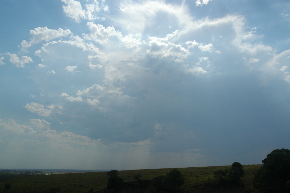 thunderstorm cumulonimbus_calvus : Parrots Nest, NSW   3 January 2006