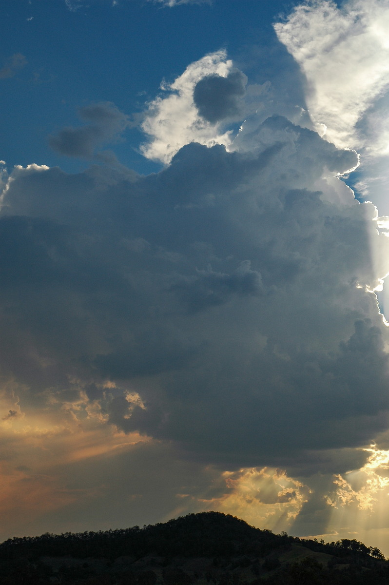 cumulus congestus : NW of Lismore, NSW   3 January 2006