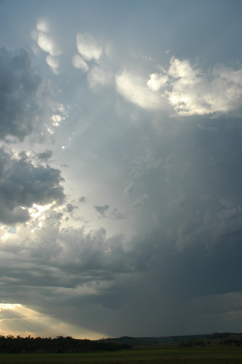 mammatus mammatus_cloud : NW of Lismore, NSW   3 January 2006