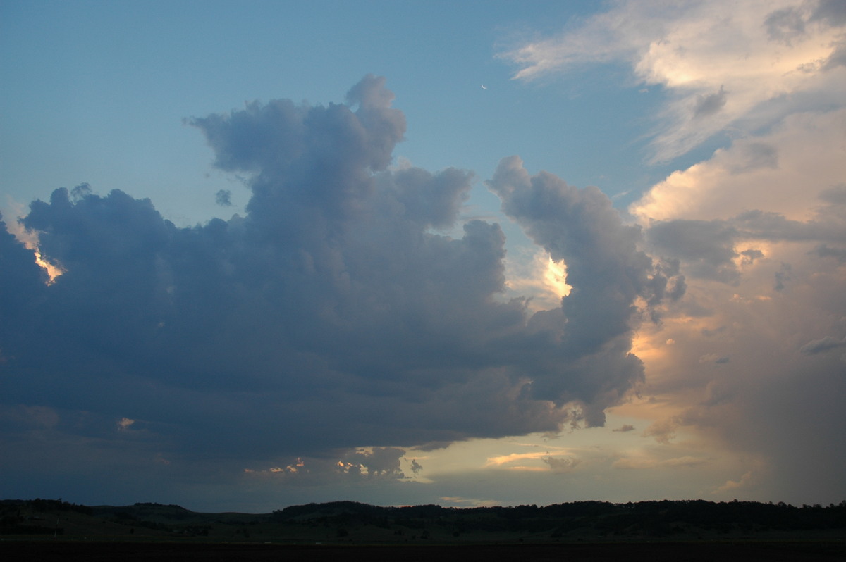 cumulus congestus : Lismore, NSW   3 January 2006