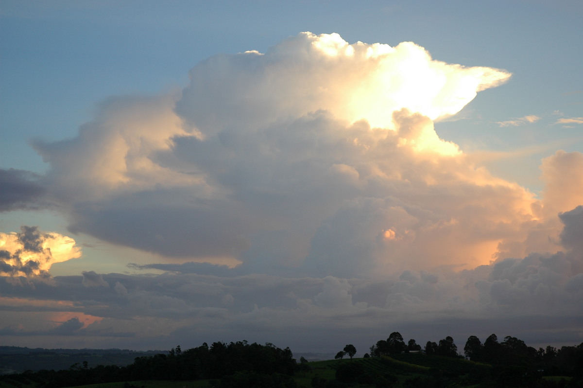 sunrise sunrise_pictures : McLeans Ridges, NSW   10 January 2006