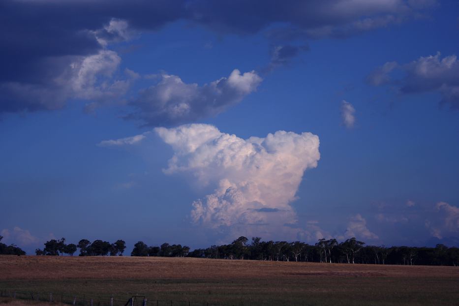 thunderstorm cumulonimbus_incus : Capertee, NSW   14 January 2006