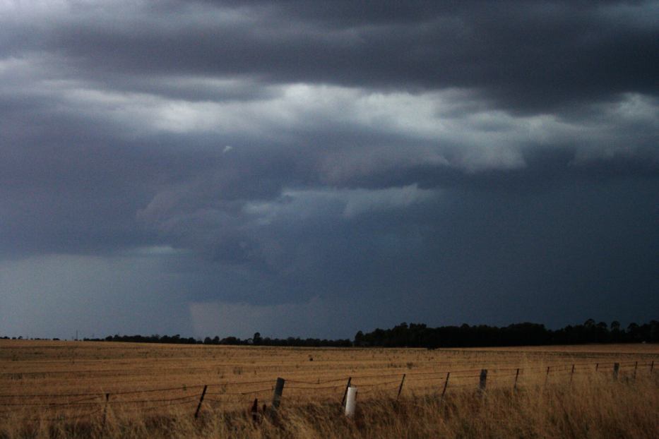 cumulonimbus thunderstorm_base : Forbes, NSW   15 January 2006