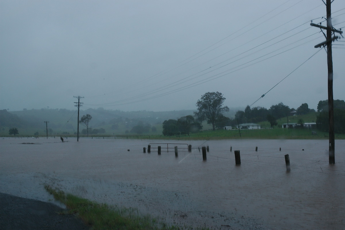 precipitation precipitation_rain : McLeans Ridges, NSW   19 January 2006