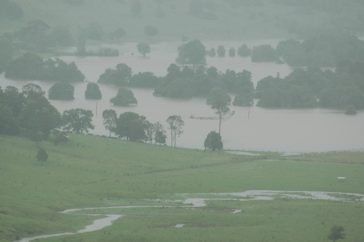 flashflooding flood_pictures : McLeans Ridges, NSW   19 January 2006