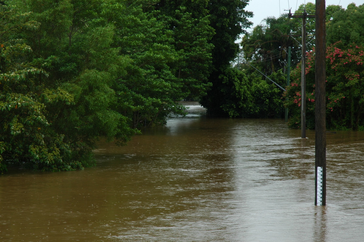 flashflooding flood_pictures : Lismore, NSW   20 January 2006