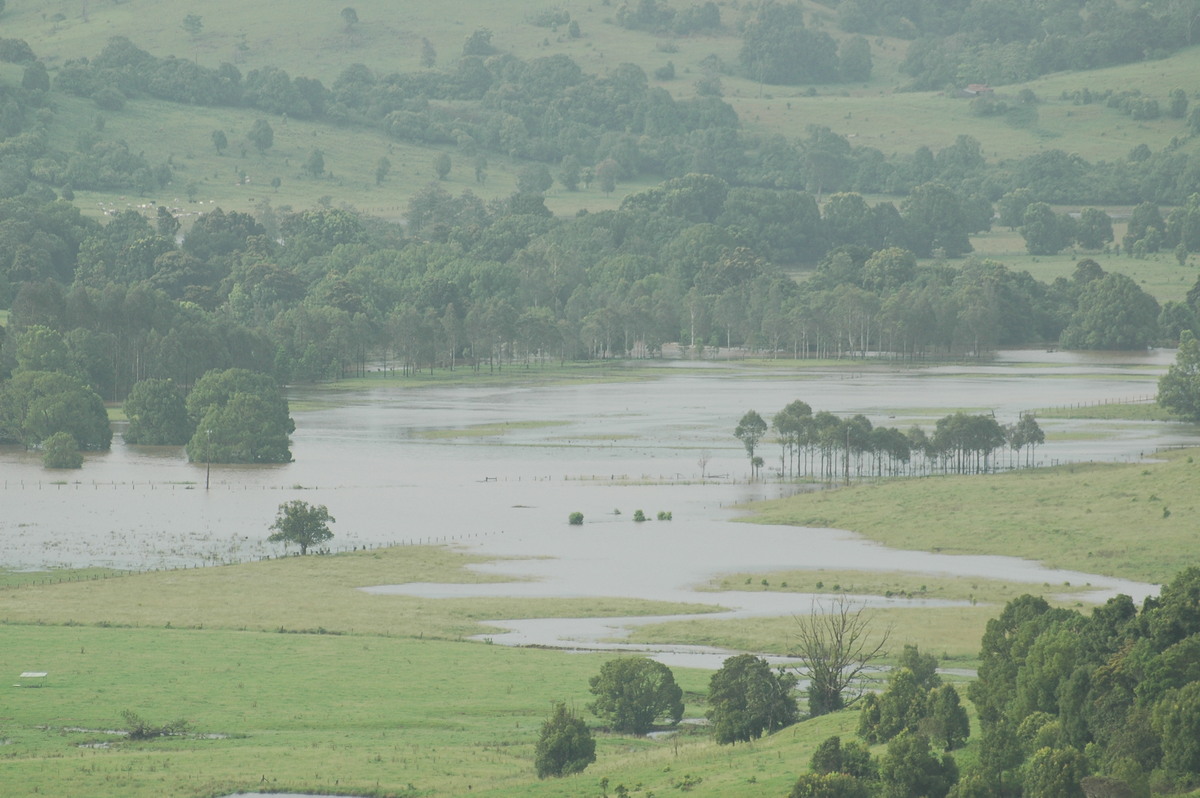 flashflooding flood_pictures : McLeans Ridges, NSW   20 January 2006