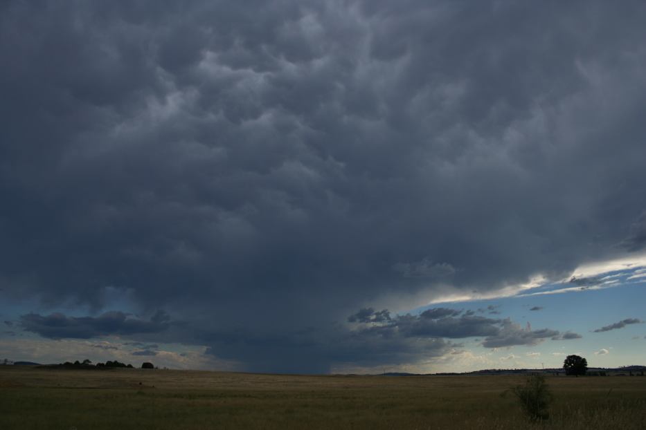 mammatus mammatus_cloud : Collector, NSW   21 January 2006