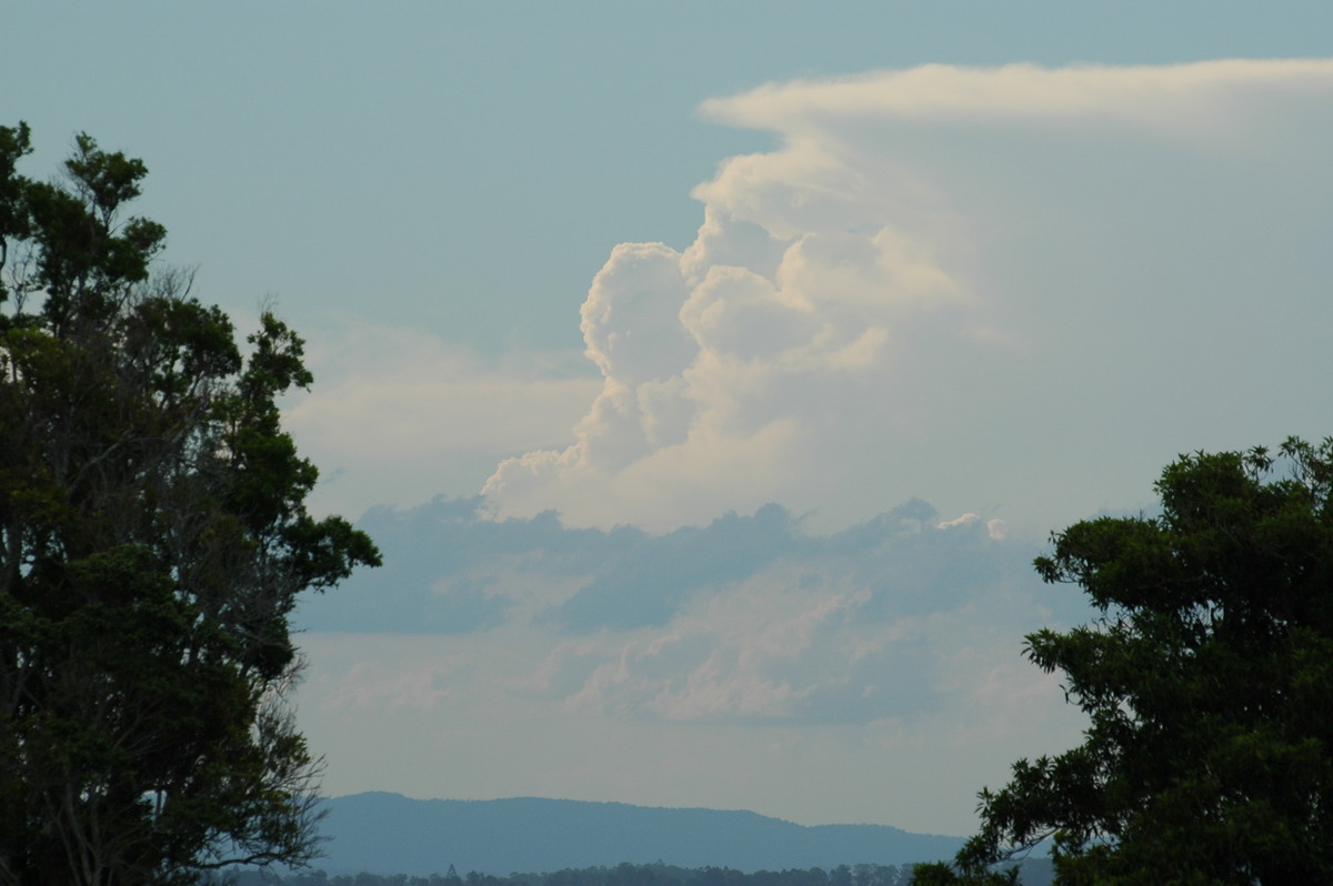 updraft thunderstorm_updrafts : McLeans Ridges, NSW   24 January 2006