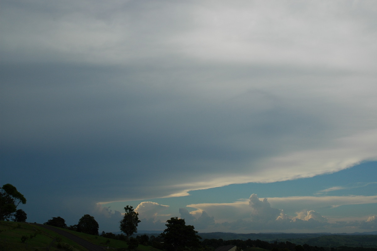 anvil thunderstorm_anvils : McLeans Ridges, NSW   24 January 2006