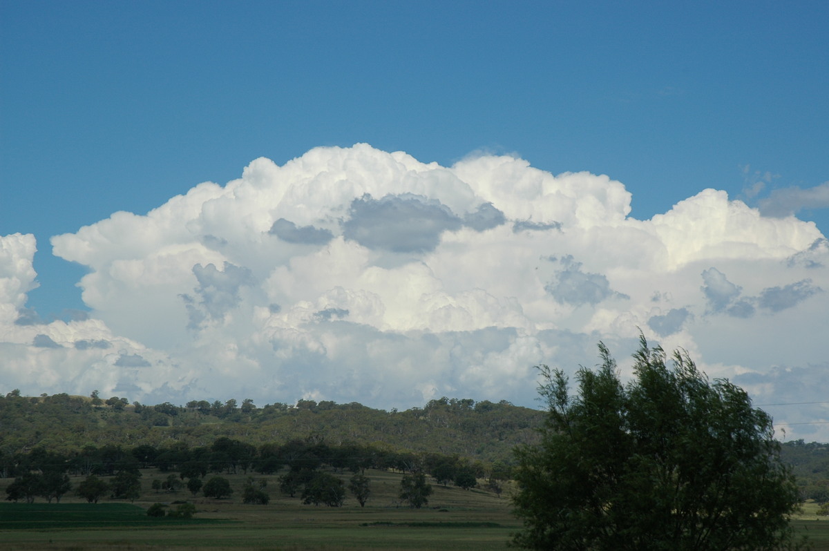 thunderstorm cumulonimbus_incus : near Glen Innes, NSW   4 February 2006