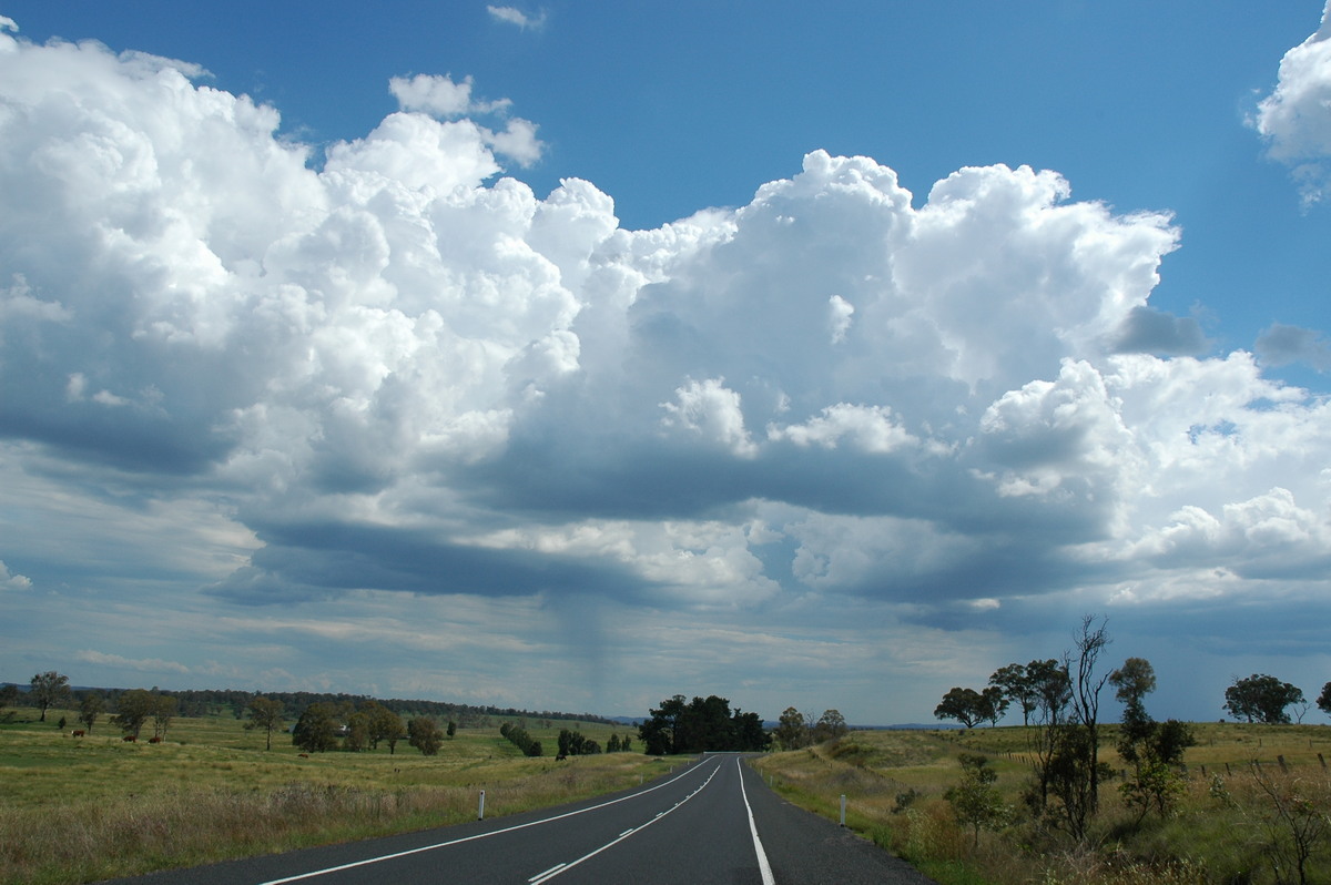 cumulus congestus : near Glen Innes, NSW   4 February 2006