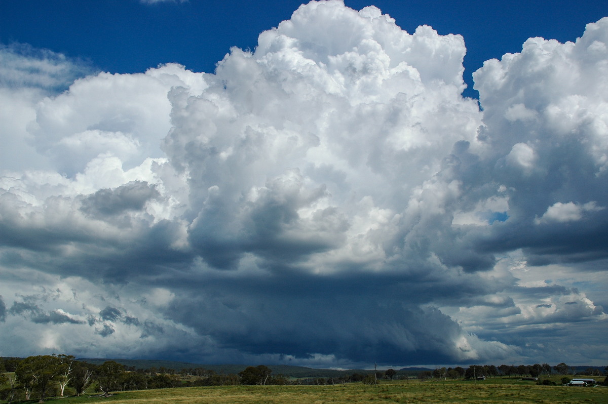 thunderstorm cumulonimbus_calvus : near Glen Innes, NSW   4 February 2006