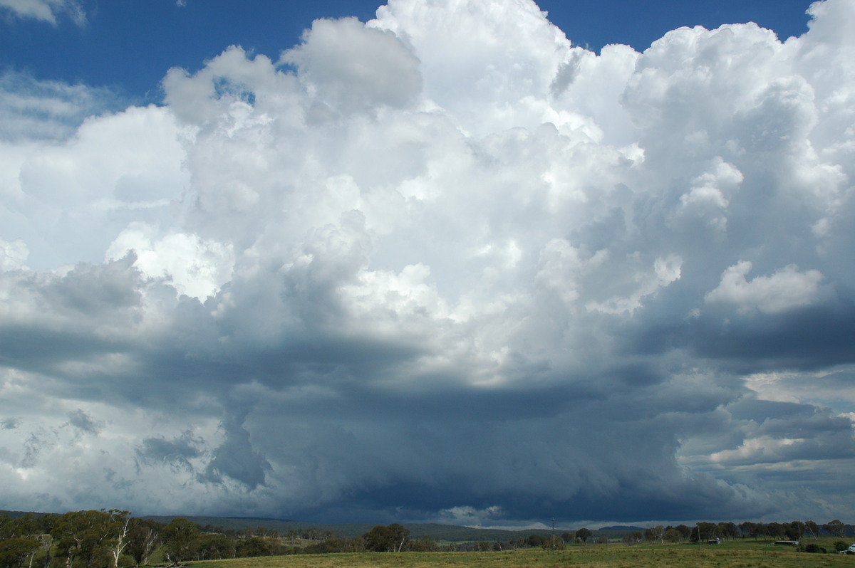 shelfcloud shelf_cloud : near Glen Innes, NSW   4 February 2006