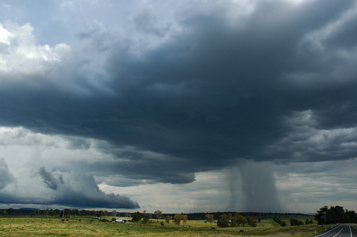 favourites michael_bath : near Glen Innes, NSW   4 February 2006