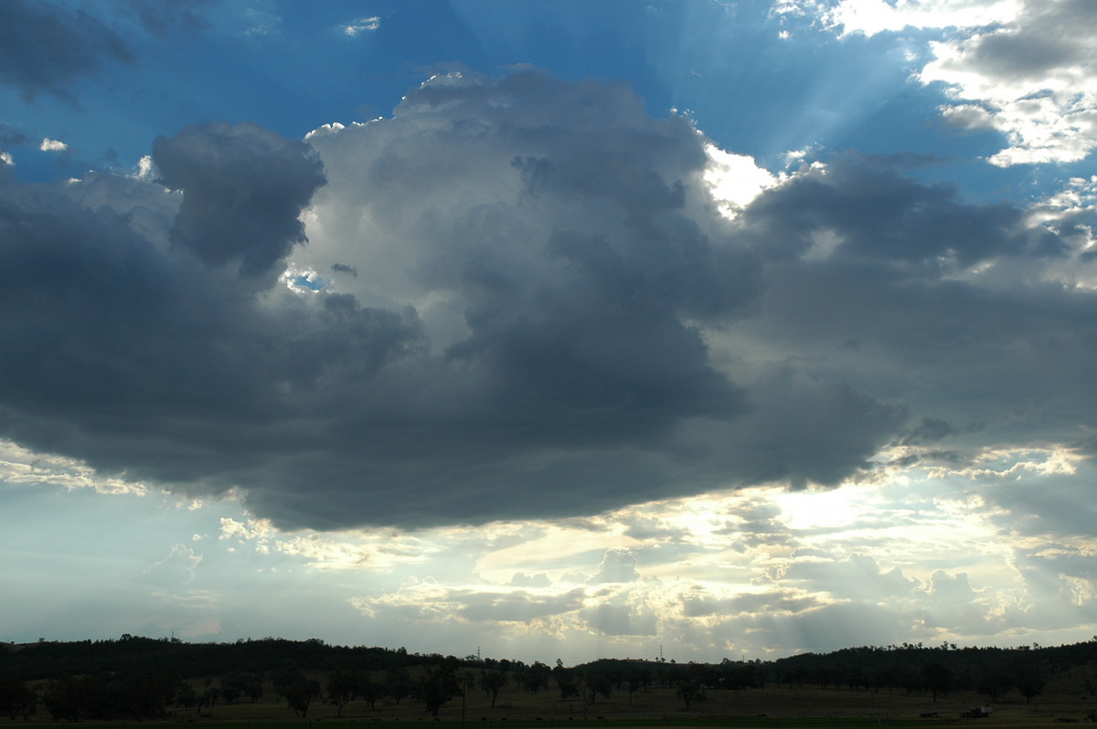 cumulus mediocris : near Bonshaw, NSW   4 February 2006