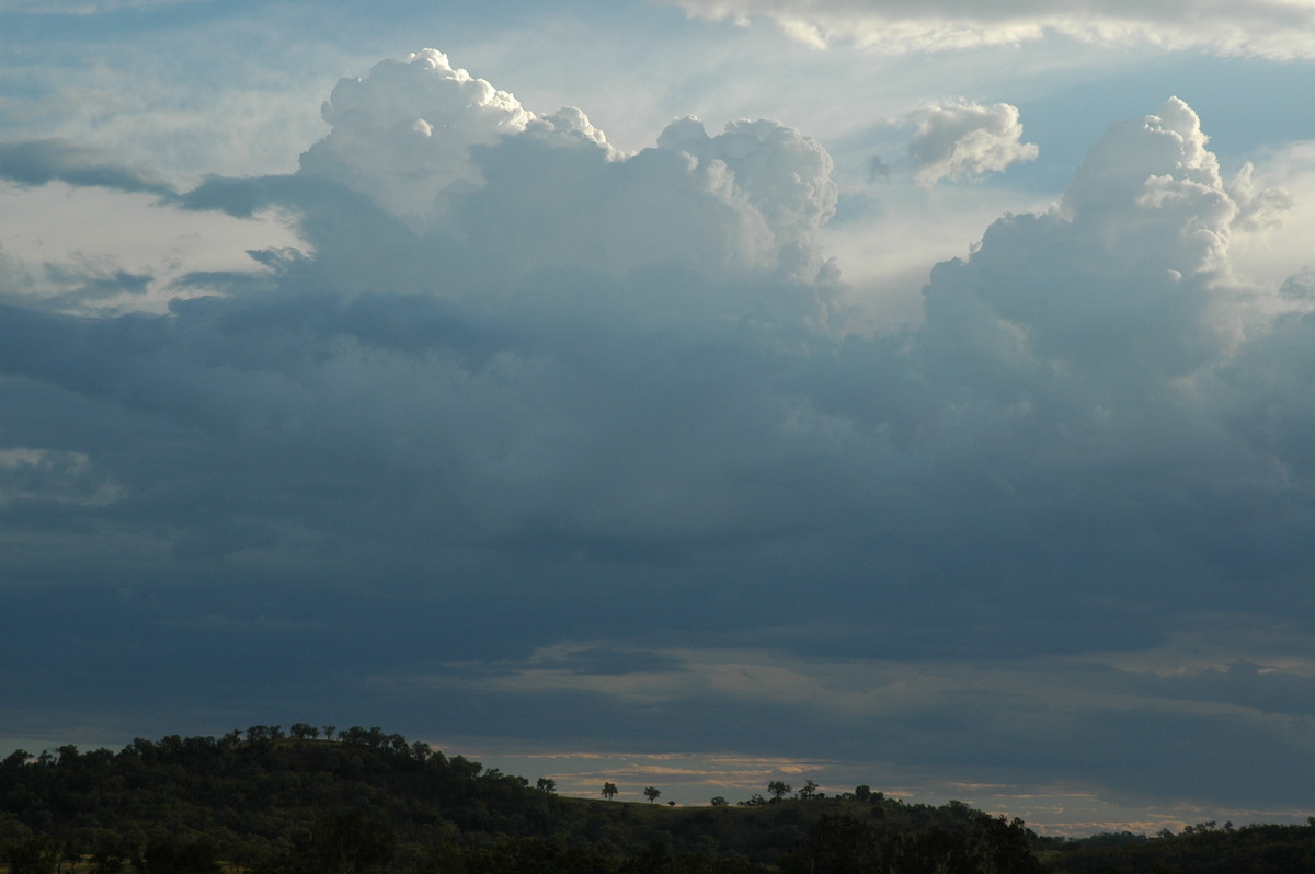 cumulus congestus : near Bonshaw, NSW   4 February 2006