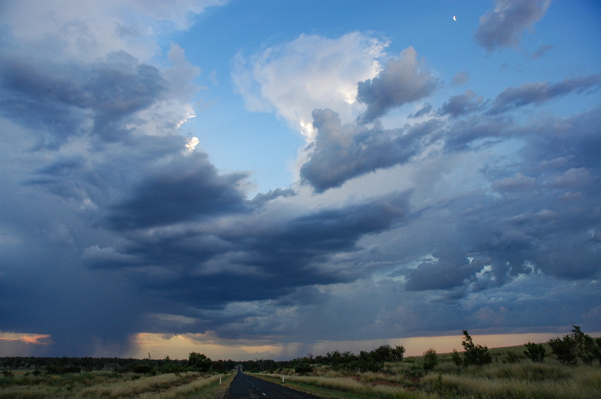 thunderstorm cumulonimbus_incus : near Bonshaw, NSW   4 February 2006